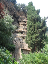 vakantie_162x216_247.jpg
