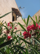 vakantie_162x216_267.jpg