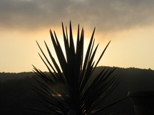 vakantie_216x162_050.jpg