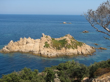vakantie_216x162_130.jpg