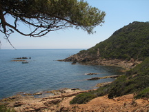 vakantie_216x162_132.jpg