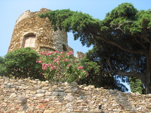 vakantie_216x162_154.jpg
