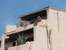 vakantie_216x162_269.jpg