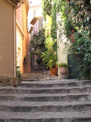croix_182x243_7964.jpg