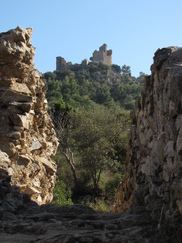 croix_182x243_8101.jpg