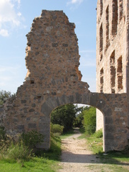 croix_182x243_8323.jpg