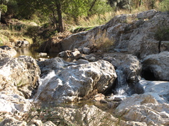 croix_243x182_8082.jpg