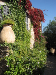 frankrijk_182x243_9384.jpg