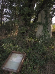 frankrijk_182x243_9470.jpg