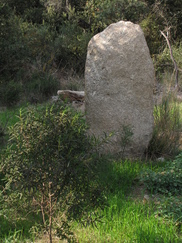 frankrijk_182x243_9476.jpg
