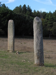 frankrijk_182x243_9542.jpg