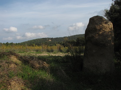frankrijk_243x182_9483.jpg