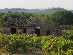 frankrijk_243x182_2129.jpg