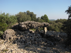 frankrijk_243x182_2190.jpg