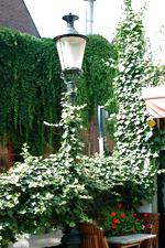 denbosch_150x225_048.jpg