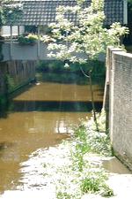 denbosch_150x225_057.jpg