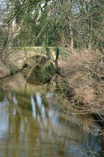 denbosch_150x225_020.jpg