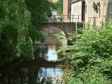denbosch_227x170_009.jpg