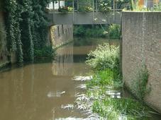 denbosch_227x170_049.jpg