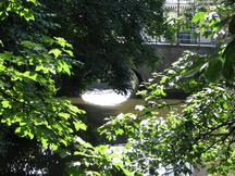 denbosch_216x162_073.jpg