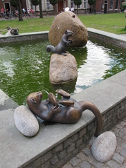 twente_182x243_7860.jpg