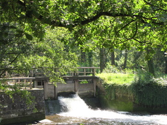twente_243x182_7806.jpg