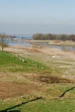 dintelsas_150x225_019.jpg