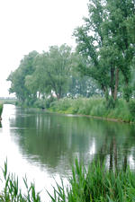 dintelsas_150x225_011.jpg