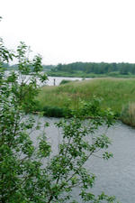 dintelsas_150x225_025.jpg