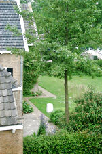 dintelsas_150x225_027.jpg