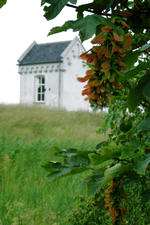 dintelsas_150x225_030.jpg