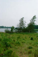 dintelsas_150x225_035.jpg