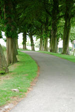 dintelsas_150x225_061.jpg