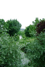 dintelsas_150x225_080.jpg
