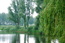 dintelsas_225x150_007.jpg