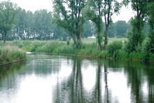 dintelsas_225x150_009.jpg