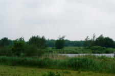 dintelsas_225x150_034.jpg