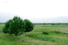 dintelsas_225x150_057.jpg