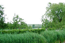 dintelsas_225x150_066.jpg