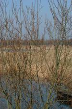 dintelsas_150x225_009.jpg