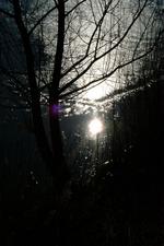 dintelsas_150x225_011.jpg