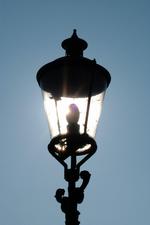 dintelsas_150x225_017.jpg
