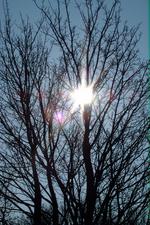 dintelsas_150x225_032.jpg