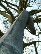 dordrecht_170x227_022.jpg