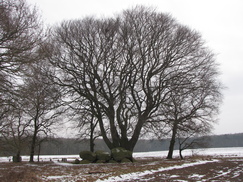 heentuin_243x182_8685.jpg