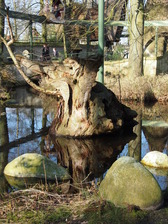 efteling_168x224_1622.jpg
