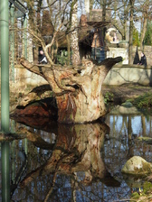 efteling_168x224_1625.jpg