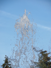 efteling_168x224_1652.jpg