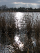 egboetswater_162x216_035.jpg