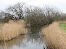 egboetswater_216x162_045.jpg